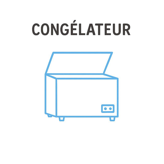 structure congelée